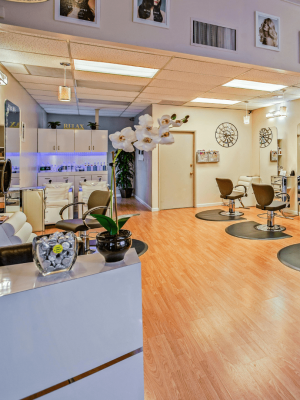 Rudanta Construction Contemporary Salon Layout